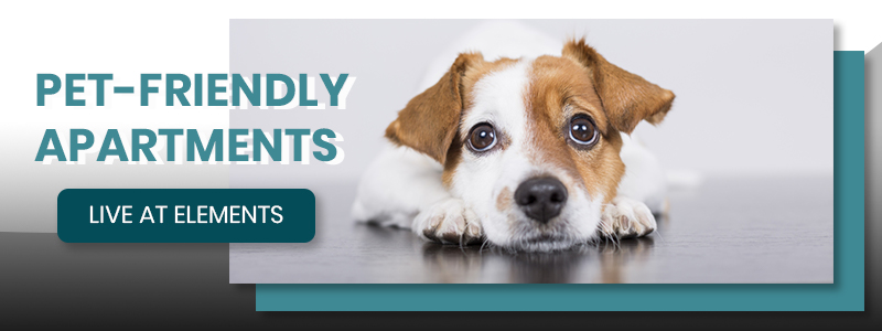 CTA-Pet-friendly-5e3dc36c286cc