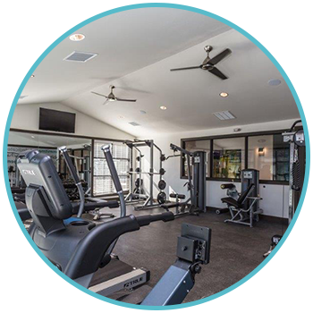 Circle-image-Amenities-5e3d98339c7e7