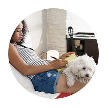 pet policy icon