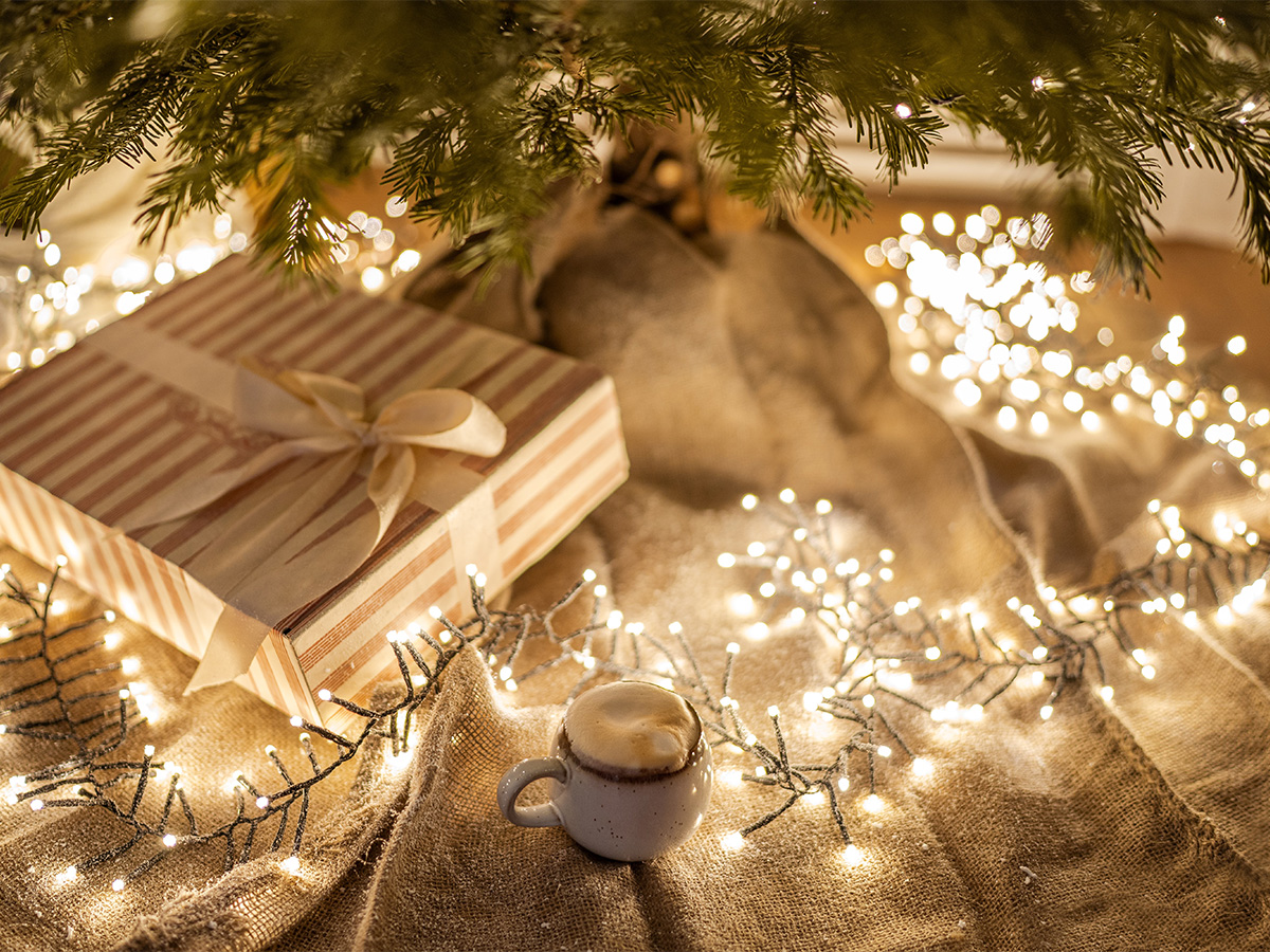 lights under christmas tree